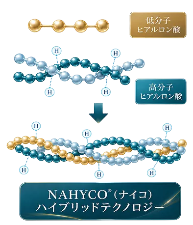 高分子・低分子ヒアルロン酸を結合するNAHYCOテクノロジー