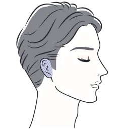 耳（耳中含む）