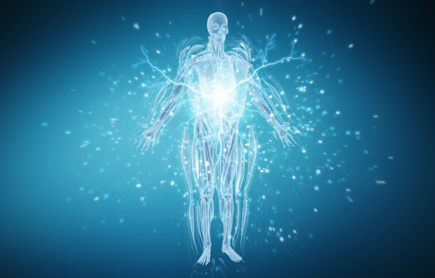 再生医療の可能性が、時の制約を解き放つ