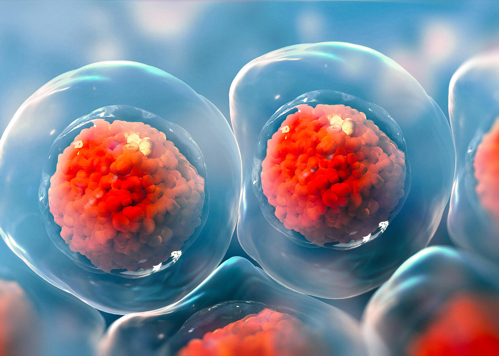 幹細胞上清液治療とは