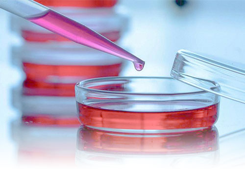 幹細胞上清液