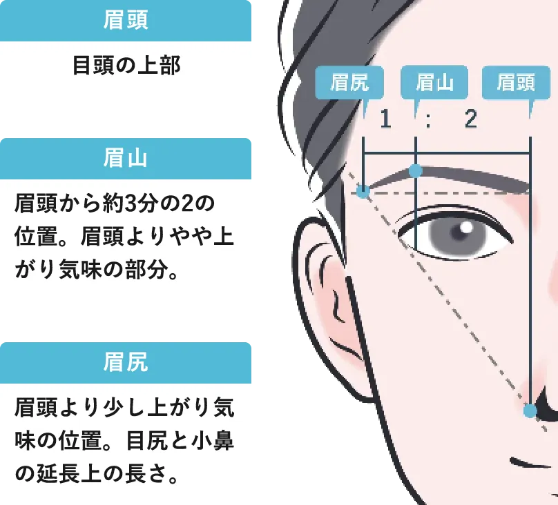 黄金比